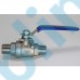 Two Piece 2PC Ball Valve with Female Thread Connector